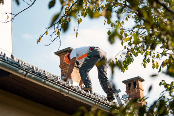 Best Slate Roofing Contractor  in Corning, IA